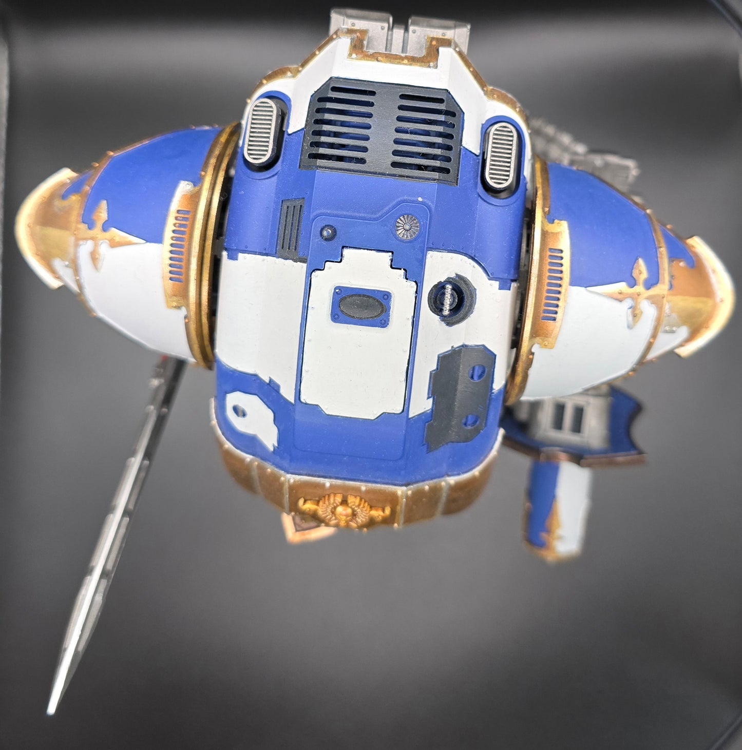 Caballero Castigador Cerastus (Pintado)