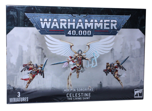 Celestino, il santo in vita